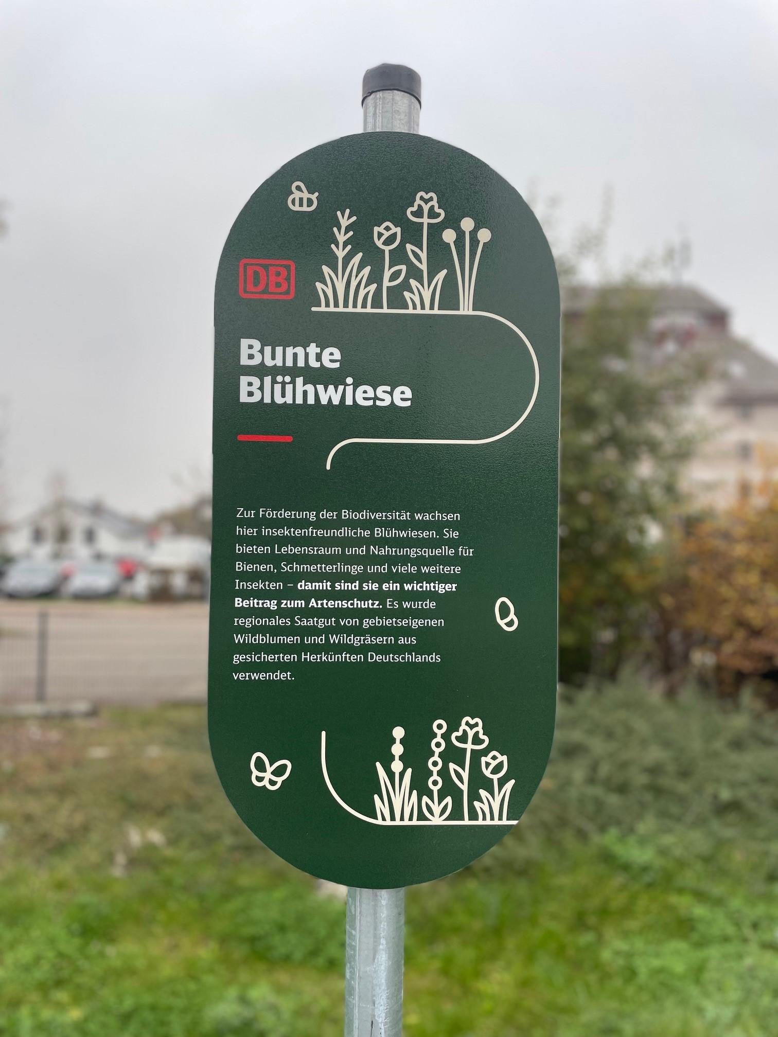 Schild auf Blühwiese zeigt folgenden Text: „Bunte Blühwiese. Zur Förderung der Biodiversität wachsen hier insektenfreundliche Blühwiesen. Sie bieten Lebensraum und Nahrungsquelle für Bienen, Schmetterlinge und viele weitere Insekten – damit sind sie ein wichtiger Betrag zum Artenschutz. Es wurde regionales Saatgut von gebietseigenen Wildblumen und Wildgräsern aus gesicherten Herkünften Deutschlands verwendet.“